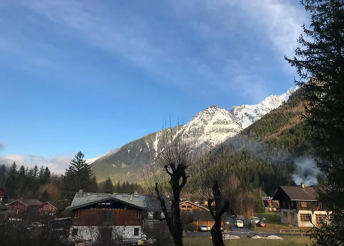 T2 Avec Balcon, Accepte Animaux - Fr-1-507-45 Chamonix