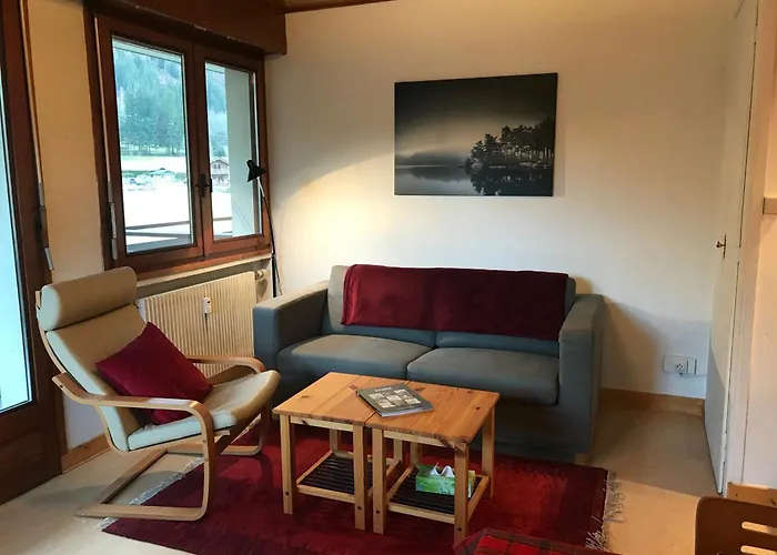 Charmant T2 Chamonix Avec Balcon, Accepte Animaux - Fr-1-507-45 Chamonix